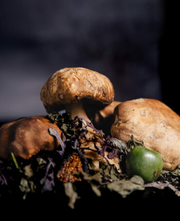 carte d'automne restaurant lunel-viel