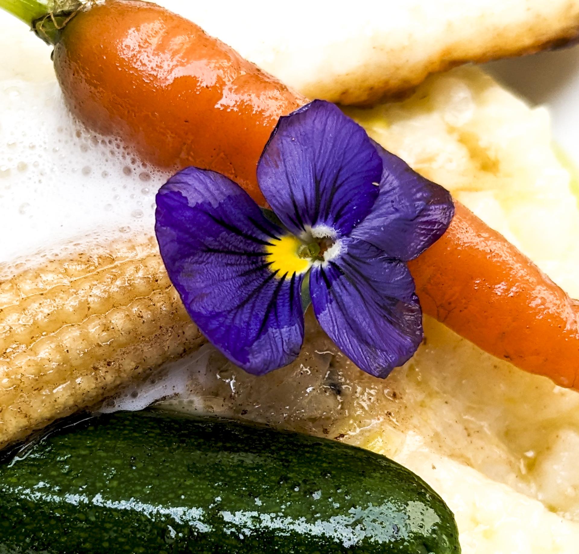 Gros plan carotte fleur courgette